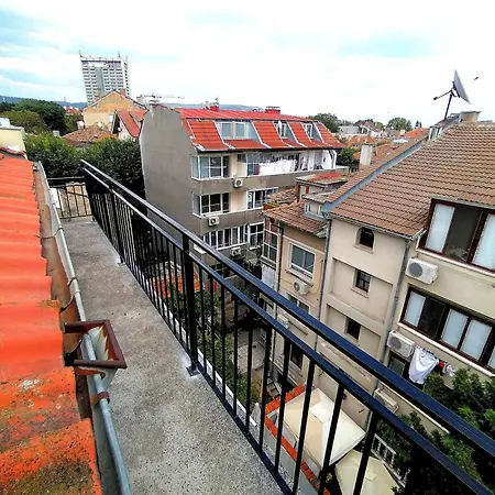 Seagull Low Budget *